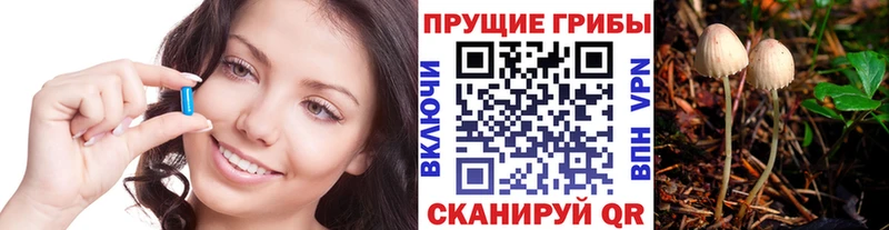 Псилоцибиновые грибы мухоморы  купить  цена  Безенчук 